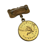 Vintage Soviet Motherhood Medal USSR Era Collectible Bronze with Enamel Detailing