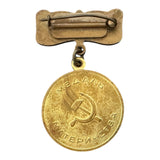Vintage Soviet Motherhood Medal USSR Era Collectible Bronze with Enamel Detailing